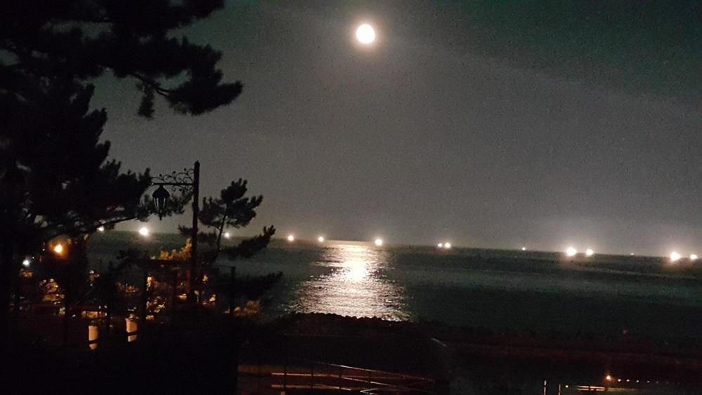 Pohang Ssideurim Pensyeon Bagian luar foto
